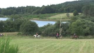 Horse Ranch Du Haut Languedoc  Trails [upl. by Anaidirib]