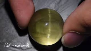 PHENOMENAL 85ct Cats Eye Apatite  GemSelect Video Reviews [upl. by Hajidak]