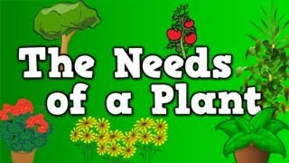 The Needs of a Plant song for kids about 5 things plants need to live [upl. by Aubin]