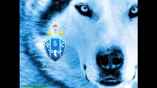 Frevo Bicolor Paysandu [upl. by Aleik]