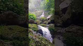 Triple Decker Living Root Bridge Cherrapunje [upl. by Onstad]