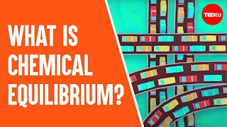 What is chemical equilibrium  George Zaidan and Charles Morton [upl. by Namyac897]