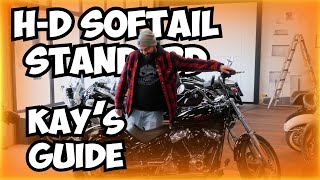 HarleyDavidson Softail Standard  Tipps und Vergleich [upl. by Aneez]