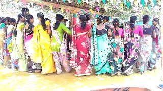 BASTAR HALBI DANCE CG SHADI VIDEO [upl. by Ddet715]