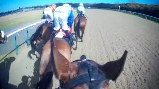 Rivellino  Dougie Costello Jockey Cam  Finals Day 2016 [upl. by Perl]