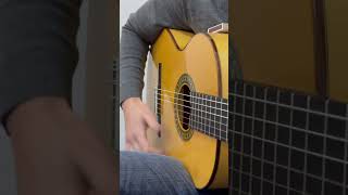 Pasa Doble flamenco guitar fingerstyleguitar flamencoguitarist guitartechnique acousticguitar [upl. by Heida]