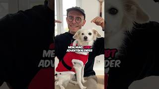 XXL Adventskalender für meinen Hund❤️🫶 hund vlog comedy tiere [upl. by Gnehp965]