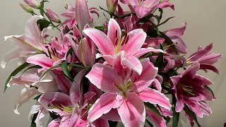 Top 10 Lilies  10 Beautiful Oriental Lily Cut Flower Varieties [upl. by Inait308]