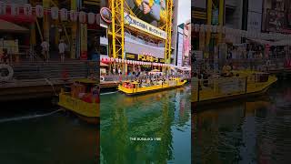 Amazing Dotonbori Bridge osaka osakatrip osakajapan dotonbori dotonboribridge japan [upl. by Ymmij292]