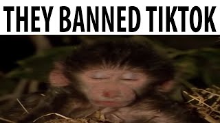 They Banned TikTok [upl. by Chelsie]