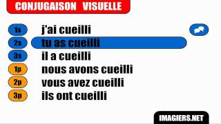 French verb conjugation  Cueillir  Passé composé [upl. by Medin607]