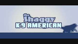 The Shaggy Dog trailer but I PREFER K9 AMERICAN [upl. by Adoree]