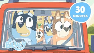 🔴LIVE A Heeler Day Out 🚗 🏕️  Travel Fun with Bluey and Bingo  Bluey [upl. by Brunk]