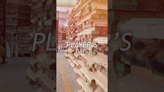 Players Bat Making at Sareen Sports Industries [upl. by Aicilet]