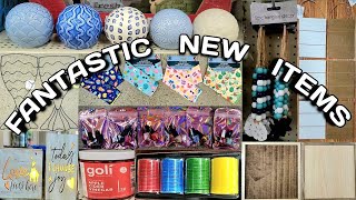 Come With Me To Dollar Tree FANTASTIC New ItemsName Brands 125 [upl. by Ecnatsnoc]