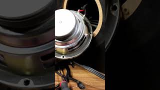 Teardown Creative t6100 subwoofer [upl. by Lim]