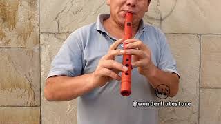 Quena Flute of Peruvian Wood fluteplayer flutelovers peruvianmusic [upl. by Sivra175]