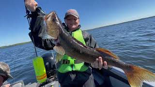 Catching Every Fish Species in MN Part 17 The Lake Sturgeon fishing [upl. by Bounds]