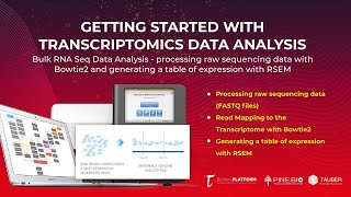 Bulk RNA Seq Data Analysis Mapping with Bowtie2 amp Generating Expression Table with RSEM [upl. by Greenburg]