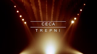 CECA TREPNI  KARAOKE [upl. by Jacobba]