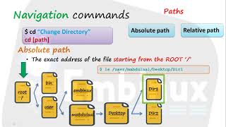 7 Use cd flexible way  Relative path vs Absolute path  عربي [upl. by Stanfill868]