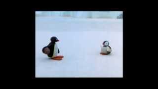 Pingu Cannot Lose Clip  Pingu Official Channel [upl. by Fusuy313]