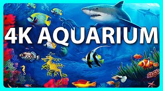 The Best 4K Aquarium for Relaxation 🐠 Relaxing Oceanscapes  Sleep Meditation 4K UHD Screensaver [upl. by Gustin]