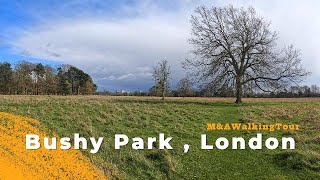 Bushy Park Sunny Day London 4K  Walking video [upl. by Narib]