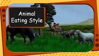 Science  Different Eating Styles of Animals English [upl. by Hamann]