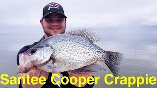 Santee Cooper Crappie Fishing [upl. by Tselec819]