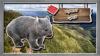 wombat común La musculosa excavadora marsupial  documental de animales salvajes [upl. by Ahsanat420]