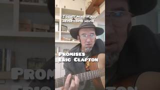 Promises  Eric Clapton cover version [upl. by Maidel]