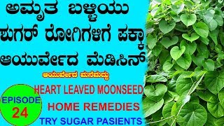 ಶುಗರ್ ಇರುವಂತವರು ಮಾತ್ರ ನೋಡಿ Ayurveda tips Kannada  Mane Maddu Sugar patient home remedie Diabetes [upl. by Ann397]