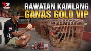 Rawatan Kamlang Ganas Gold VIP • RJ Farm Indonesia [upl. by Yeltsew]