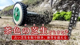 【３月４月お手入れ】最初にする芝生作業！茶色の葉をリセット＆新芽の準備🌱育ちやすい『土作り』スタート！ [upl. by Erehc]