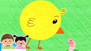 All the Chicks are Squeaking 🐥🎶  Nursery Rhymes and Songs for kids CharlieLola [upl. by Hogle]