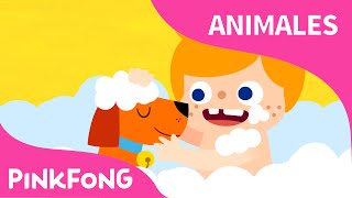 Mi Mascota Mi Amigo  Animales  PINKFONG Canciones Infantiles [upl. by Llekcm832]