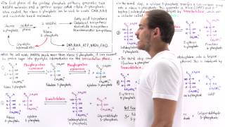 Nonoxidative Phase of Pentose Phosphate Pathway [upl. by Sclater]