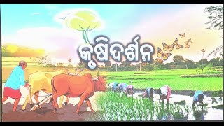 Krushi Darshan  କୃଷି ଦର୍ଶନ  Phone in live  25th Oct 2024600 pm [upl. by Rebe289]