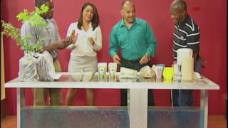 Benefits of the Moringa plant [upl. by Ecinreb]