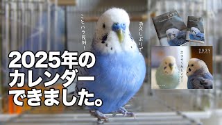 ポコちゃんに25年のカレンダーの告知をお願いしたら…文句たらたら [upl. by Phillipp]