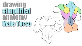 How to Draw the Male Torso with Simplified Forms [upl. by Enawd]