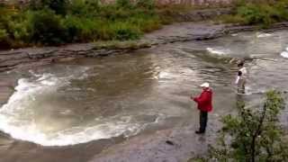 Ganaraska River  Port Hope Ontario Canada [upl. by Anahsal]