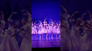 The Nutcracker  Snowflakes  Ballet Etudes [upl. by Enairda]