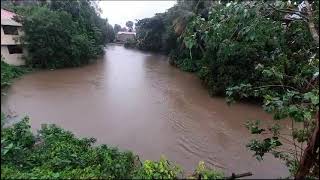 മീനച്ചിൽ പുഴ 011023 130 pm  Meenachil River Today water level  Metbeat Weather [upl. by Merrill970]