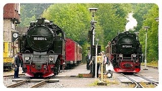 Die Selketalbahn 2004  Harzer Schmalspurbahn  Narrow Gauge Railway [upl. by Valeria]