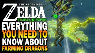 Everything You Need To Know About Farming Dragons In Tears Of The Kingdom  TOTK Tips amp Tricks [upl. by Jabez]