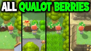 ALL QUALOT BERRY LOCATIONS ON POKEMON BRILLIANT DIAMOND AND SHINING PEARL [upl. by Orpha]