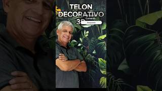 TELÓN DECORATIVO 3D [upl. by Aihtennek]