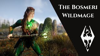 Skyrim Build Gameplay  The Bosmeri Wildmage [upl. by Ramas562]